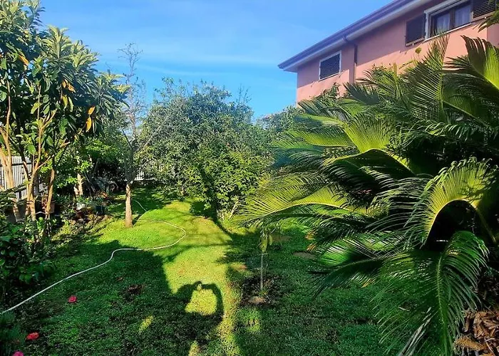 住宿加早餐酒店 Janas 托尔托利