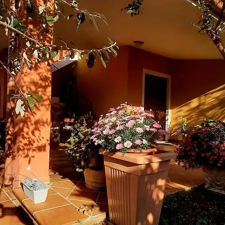 Janas 3* 토르톨리